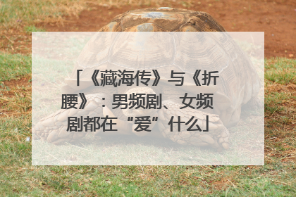 《藏海传》与《折腰》：男频剧、女频剧都在“爱”什么