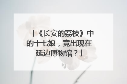 《长安的荔枝》中的十七娘，竟出现在延边博物馆？