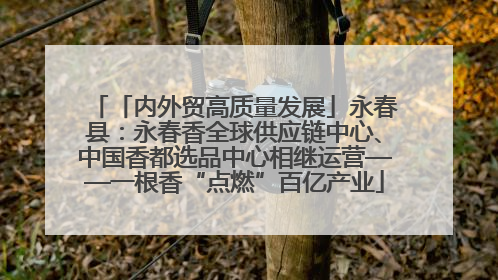 「内外贸高质量发展」永春县：永春香全球供应链中心、中国香都选品中心相继运营——一根香“点燃”百亿产业