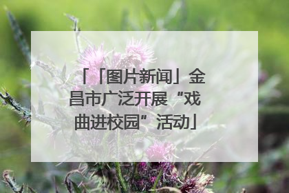 「图片新闻」金昌市广泛开展“戏曲进校园”活动