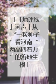 「地评线」河声丨从“一粒种子”看河南“两高四着力”的落地生根