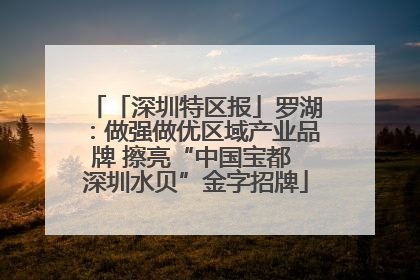 「深圳特区报」罗湖：做强做优区域产业品牌 擦亮“中国宝都 深圳水贝”金字招牌