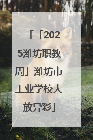 「2025潍坊职教周」潍坊市工业学校大放异彩