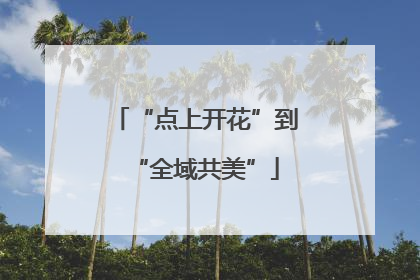 “点上开花”到“全域共美”