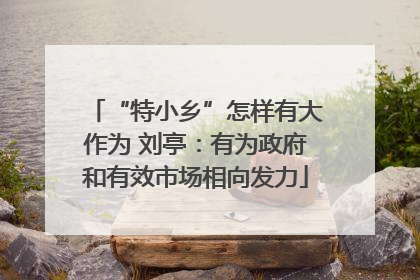 “特小乡”怎样有大作为 刘亭：有为政府和有效市场相向发力