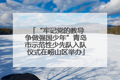“牢记党的教导 争做强国少年”青岛市示范性少先队入队仪式在崂山区举办