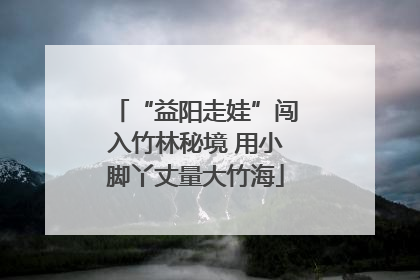 “益阳走娃”闯入竹林秘境 用小脚丫丈量大竹海