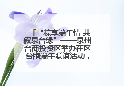 “粽享端午情 共叙泉台缘”——泉州台商投资区举办在区台胞端午联谊活动，共话同源深情