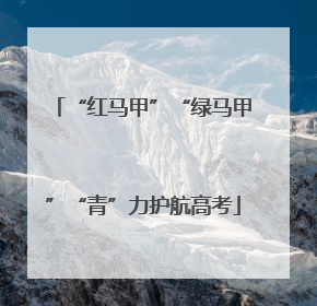 “红马甲”“绿马甲”“青”力护航高考