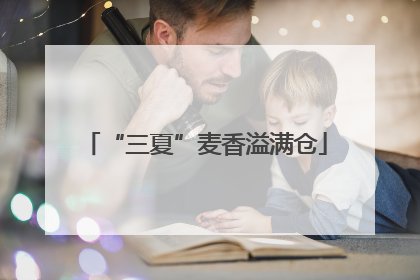“三夏”麦香溢满仓