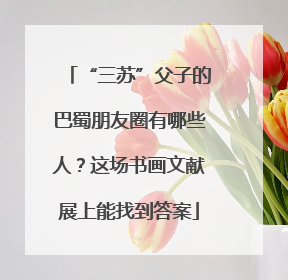 “三苏”父子的巴蜀朋友圈有哪些人？这场书画文献展上能找到答案