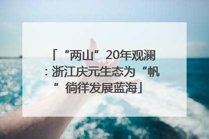 “两山”20年观澜：浙江庆元生态为“帆”徜徉发展蓝海
