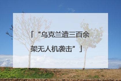“乌克兰遭三百余架无人机袭击”