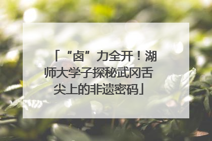 “卤”力全开！湖师大学子探秘武冈舌尖上的非遗密码