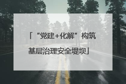“党建+化解”构筑基层治理安全堤坝