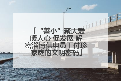“善小”聚大爱 暖人心 促发展 解密淄博供电员工付珍家庭的文明密码