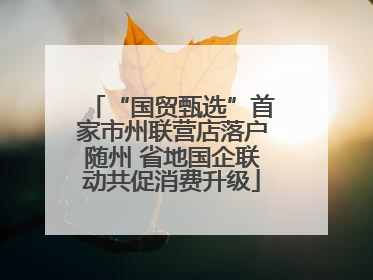 “国贸甄选”首家市州联营店落户随州 省地国企联动共促消费升级