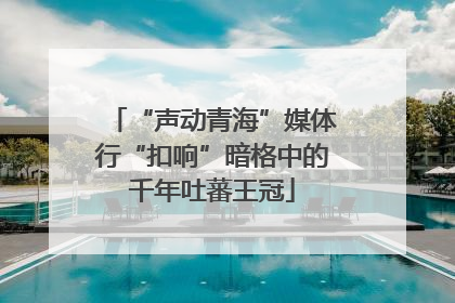 “声动青海”媒体行“扣响”暗格中的千年吐蕃王冠