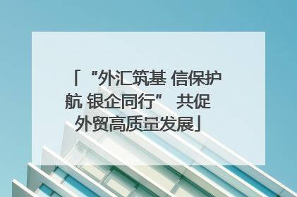 “外汇筑基 信保护航 银企同行” 共促外贸高质量发展