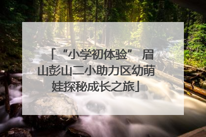 “小学初体验” 眉山彭山二小助力区幼萌娃探秘成长之旅