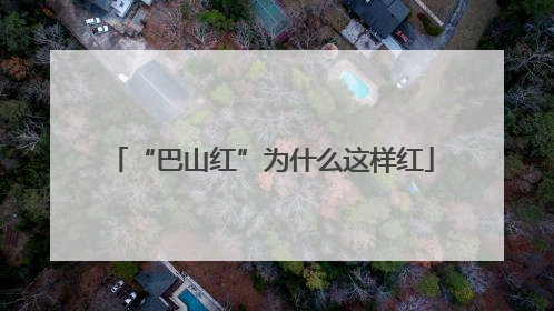 “巴山红”为什么这样红