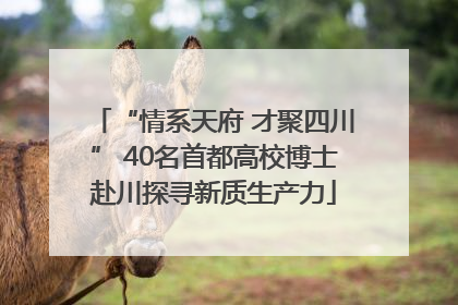 “情系天府 才聚四川” 40名首都高校博士赴川探寻新质生产力
