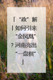 “政”解丨如何引来“金凤凰”？河南亮出“一盘棋”