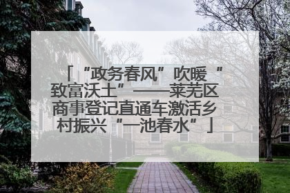 “政务春风”吹暖“致富沃土”——莱芜区商事登记直通车激活乡村振兴“一池春水”