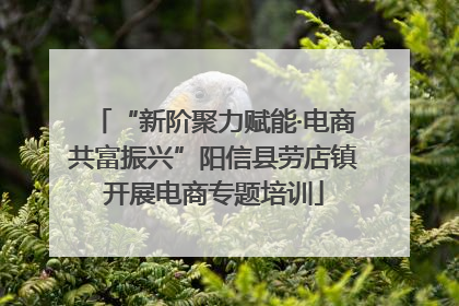 “新阶聚力赋能·电商共富振兴”阳信县劳店镇开展电商专题培训