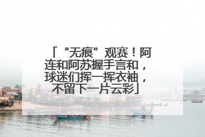 “无痕”观赛！阿连和阿苏握手言和，球迷们挥一挥衣袖，不留下一片云彩