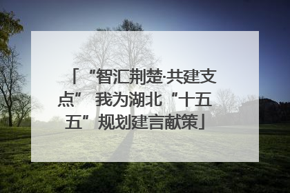 “智汇荆楚·共建支点” 我为湖北“十五五”规划建言献策