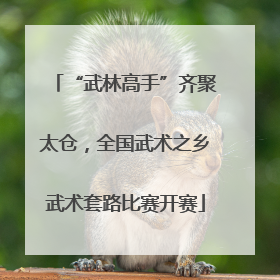 “武林高手”齐聚太仓，全国武术之乡武术套路比赛开赛