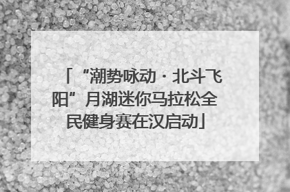 “潮势咏动・北斗飞阳”月湖迷你马拉松全民健身赛在汉启动