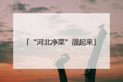 “河北净菜”靓起来