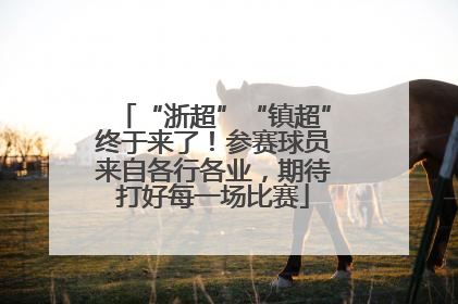 “浙超”“镇超”终于来了！参赛球员来自各行各业，期待打好每一场比赛