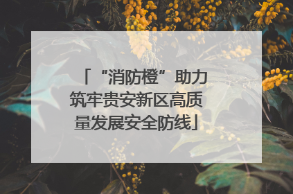 “消防橙”助力筑牢贵安新区高质量发展安全防线