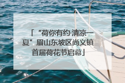 “荷你有约·清凉一夏”眉山东坡区尚义镇首届荷花节启幕
