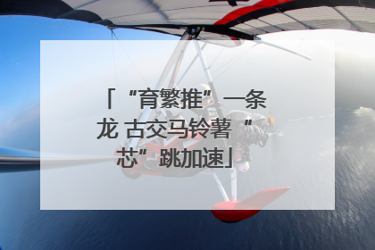 “育繁推”一条龙 古交马铃薯“芯”跳加速