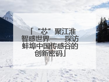“芯”聚江淮 智感世界——探访蚌埠中国传感谷的创新密码