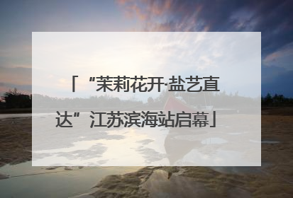 “茉莉花开·盐艺直达”江苏滨海站启幕