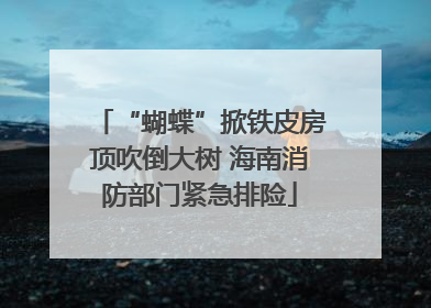 “蝴蝶”掀铁皮房顶吹倒大树 海南消防部门紧急排险