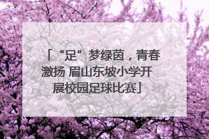 “足”梦绿茵，青春激扬 眉山东坡小学开展校园足球比赛