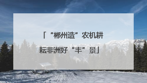 “郴州造”农机耕耘非洲好“丰”景