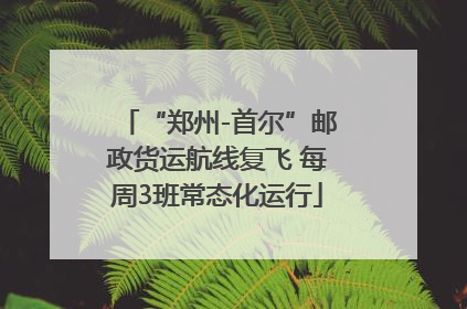“郑州-首尔”邮政货运航线复飞 每周3班常态化运行