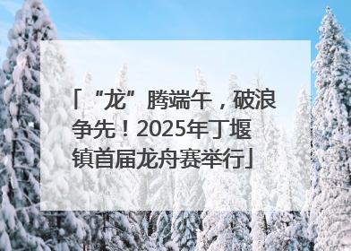 “龙”腾端午，破浪争先！2025年丁堰镇首届龙舟赛举行