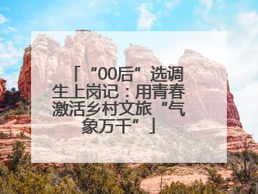 “00后”选调生上岗记：用青春激活乡村文旅“气象万千”