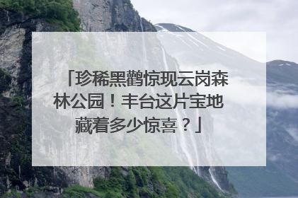 珍稀黑鹳惊现云岗森林公园！丰台这片宝地藏着多少惊喜？