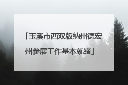 玉溪市西双版纳州德宏州参展工作基本就绪