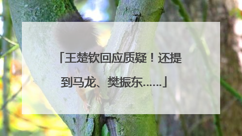王楚钦回应质疑！还提到马龙、樊振东……