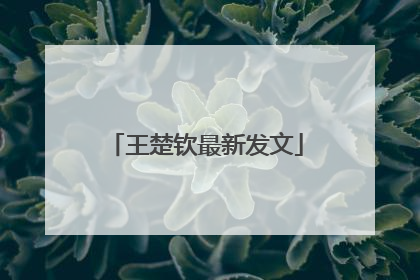 王楚钦最新发文